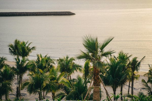 Céleste Exploration : Plongée dans l'Astronomie sous les Étoiles